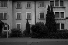 Video Stills